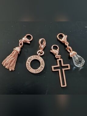 Set of 4 dangle charms